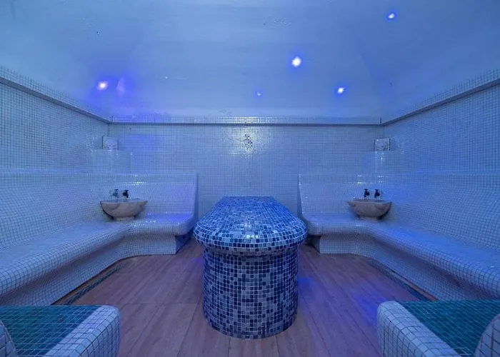 Sasha Collection At Rin Grand